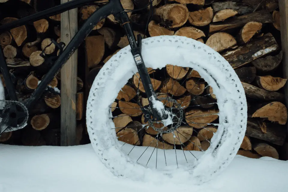 best fat bike tires for snow