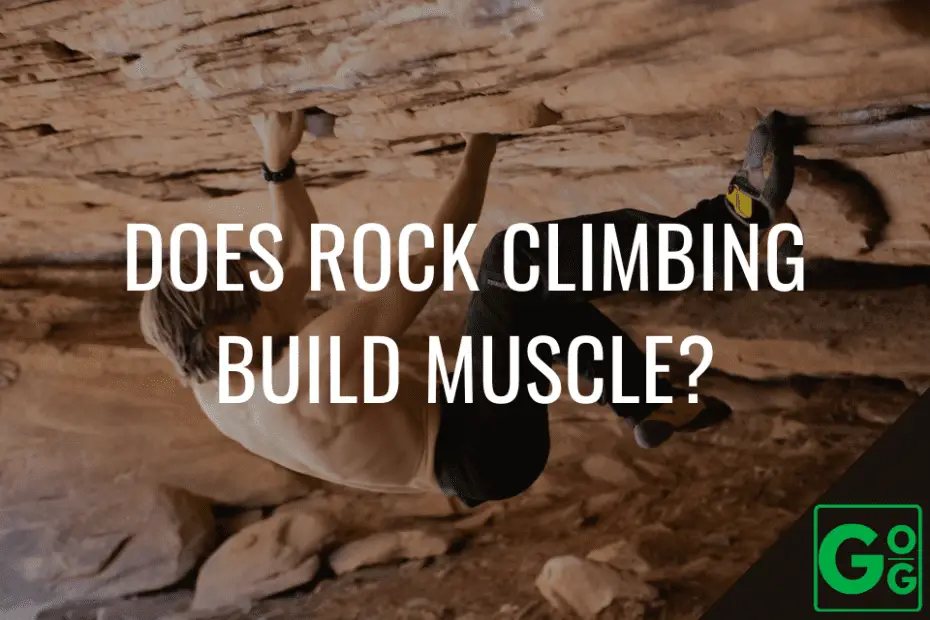 Does Rock Climbing Build Muscle