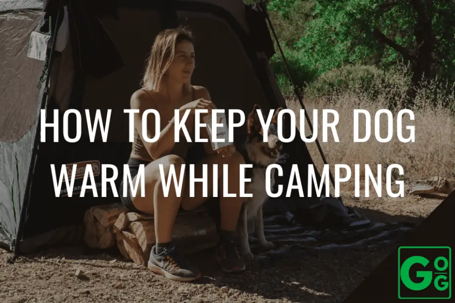 How To Keep Your Dog Warm While Camping